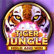 Truy cập trang đăng nhập hz88 bet