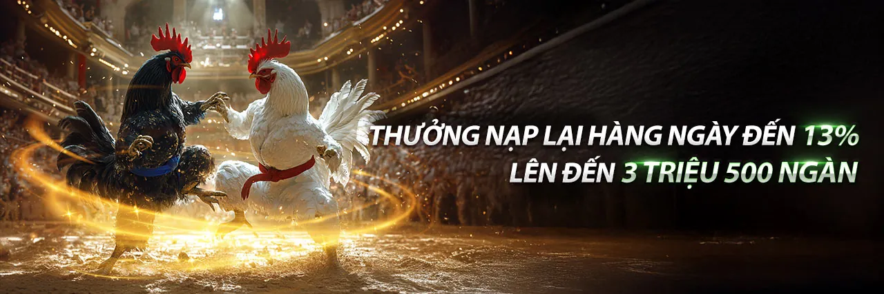 Đá Gà Trực Tiếp Hấp Dẫn tại hz88 bet