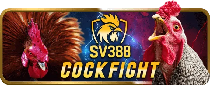 Khuyến mãi sự kiện thể thao hz88 bet